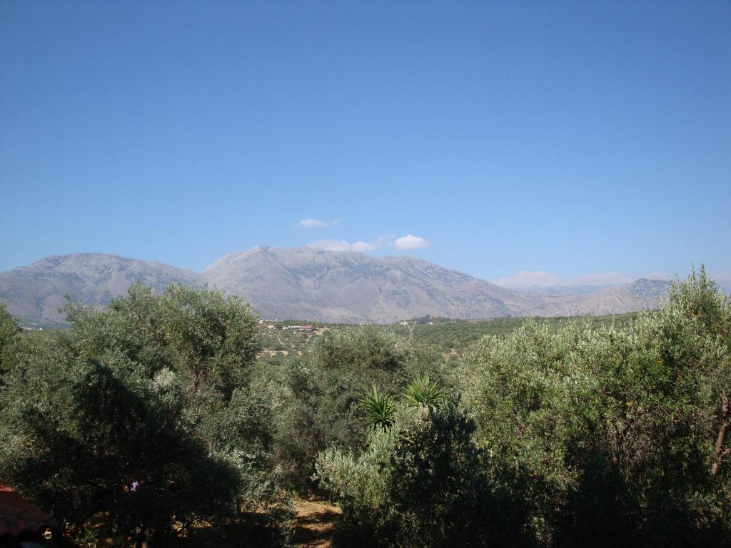 Calamon Apartments Episkopi-Chania Exteriör bild