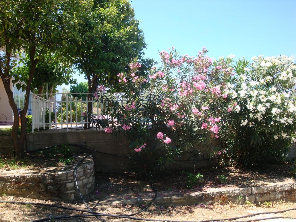 Calamon Apartments Episkopi-Chania Exteriör bild