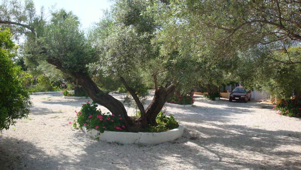 Calamon Apartments Episkopi-Chania Exteriör bild