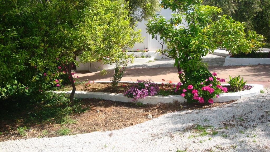 Calamon Apartments Episkopi-Chania Exteriör bild
