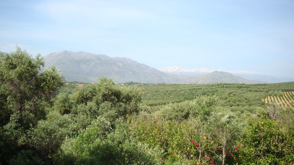 Calamon Apartments Episkopi-Chania Exteriör bild