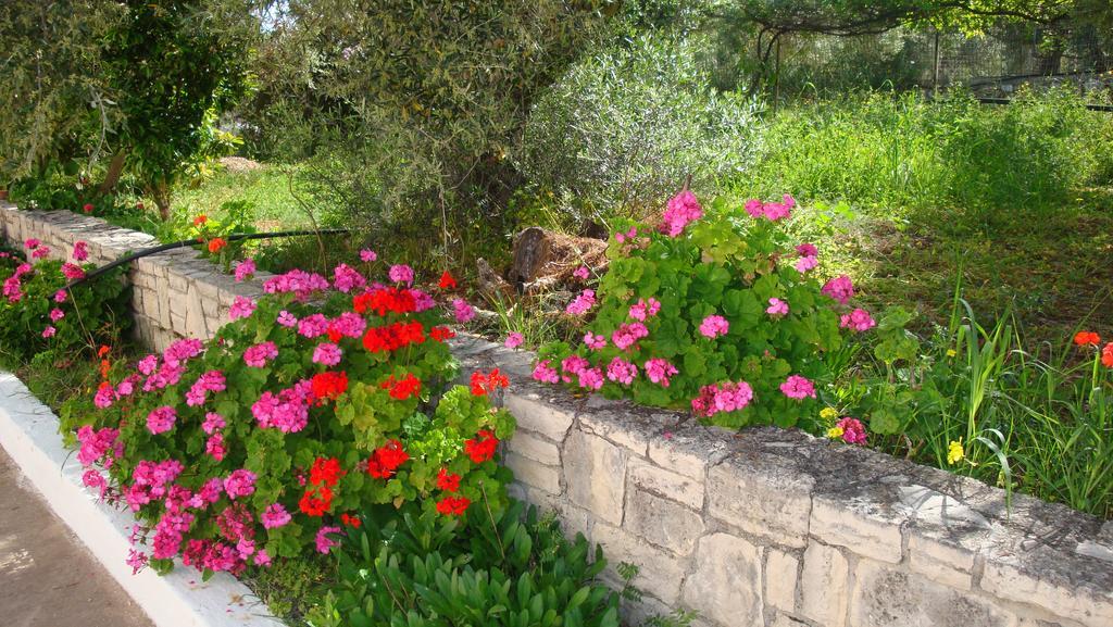 Calamon Apartments Episkopi-Chania Exteriör bild