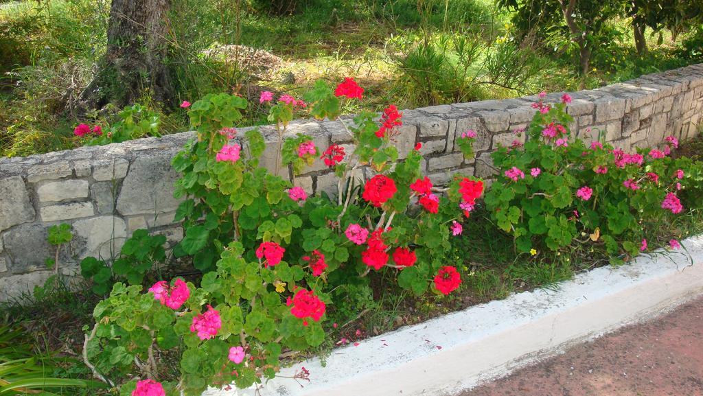 Calamon Apartments Episkopi-Chania Exteriör bild