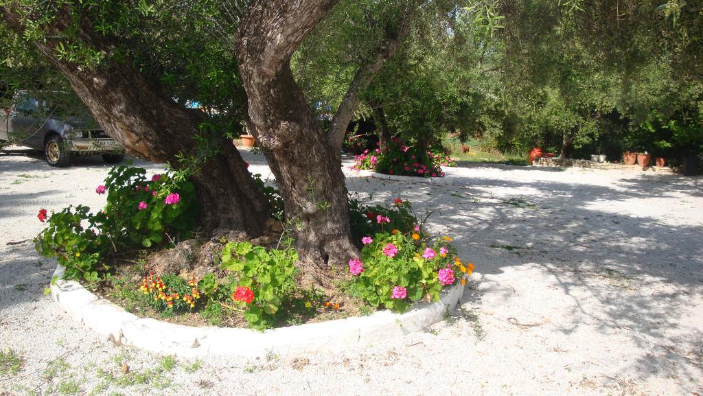 Calamon Apartments Episkopi-Chania Exteriör bild