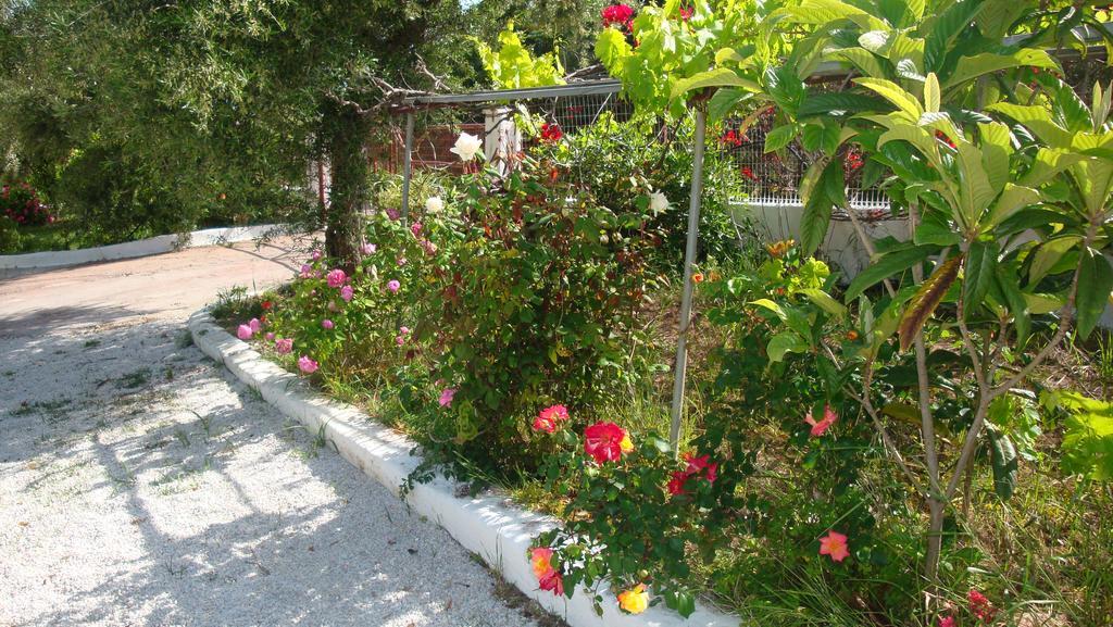 Calamon Apartments Episkopi-Chania Exteriör bild